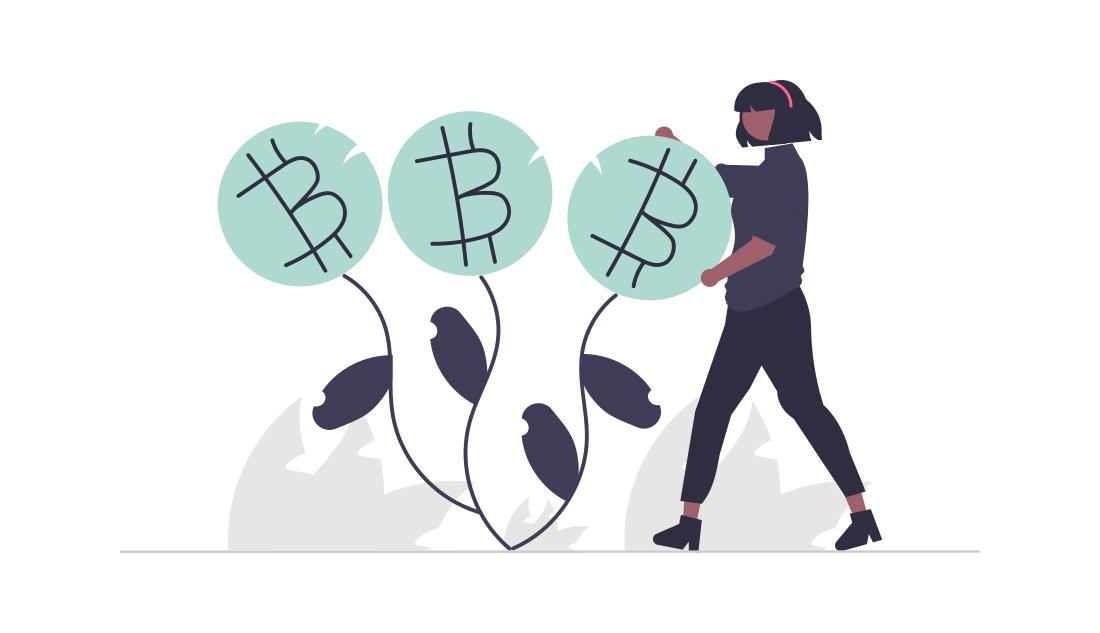 Inflation von Kryptowährungen – Aktuelle Daten