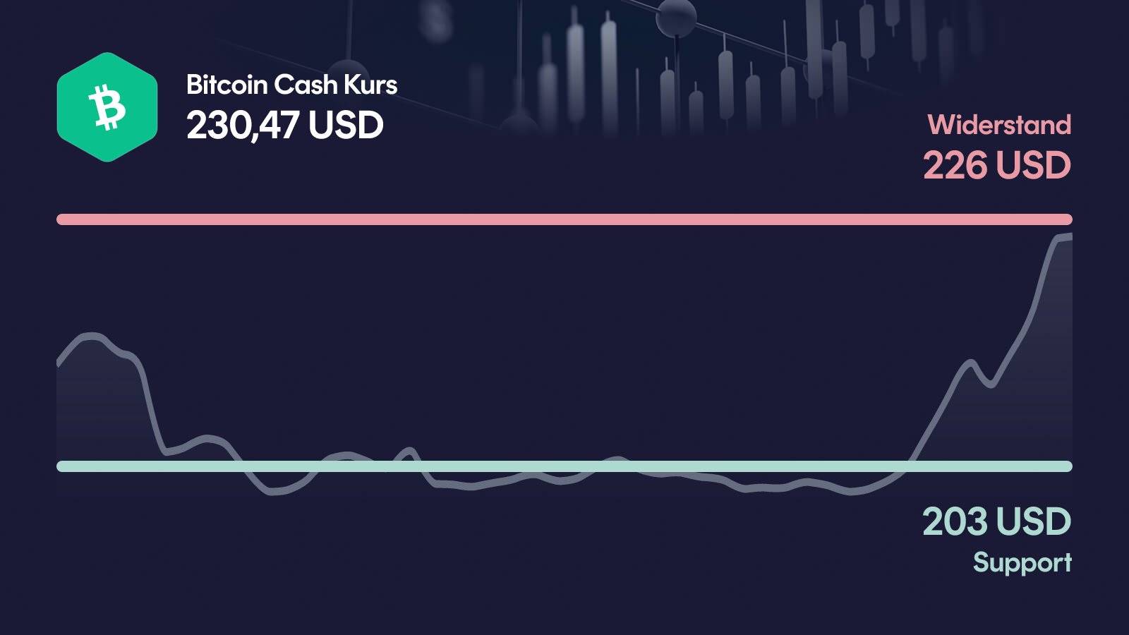 Bitcoin Cash-Kurs mit Support bei 203 USD und Widerstand bei 226 USD