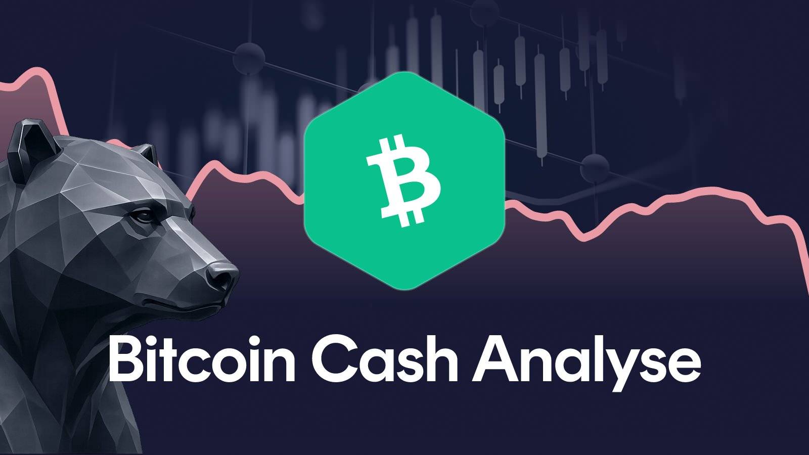 Bitcoin Cash-Kurs: BCH fällt 8 Prozent, hält der Support?