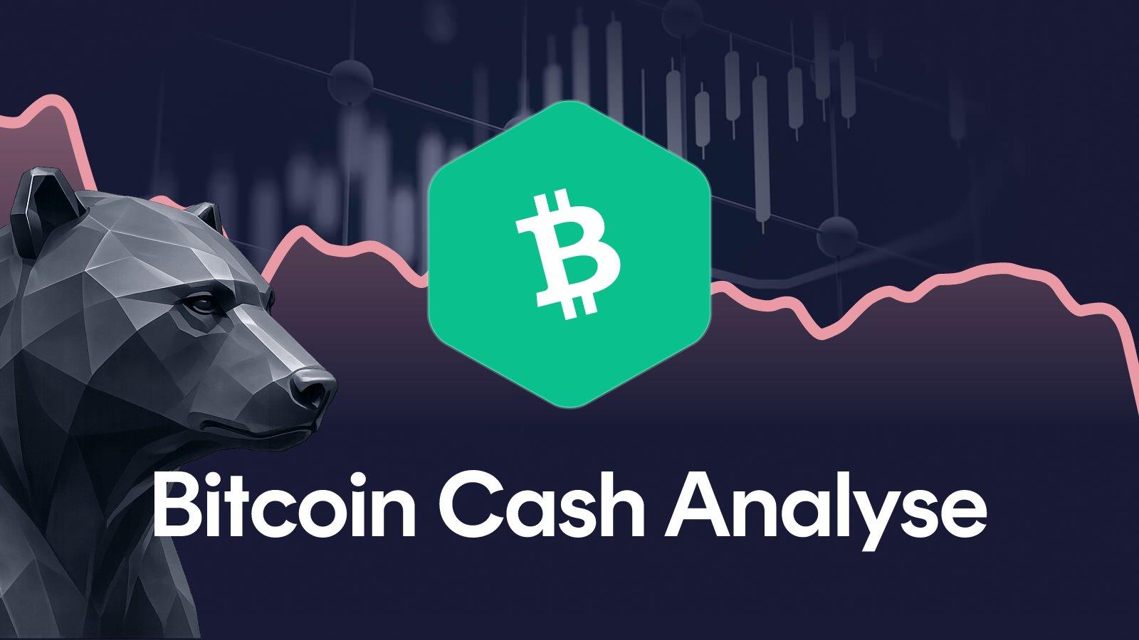 Bitcoin Cash-Kurs: BCH fällt 8 Prozent, hält der Support?