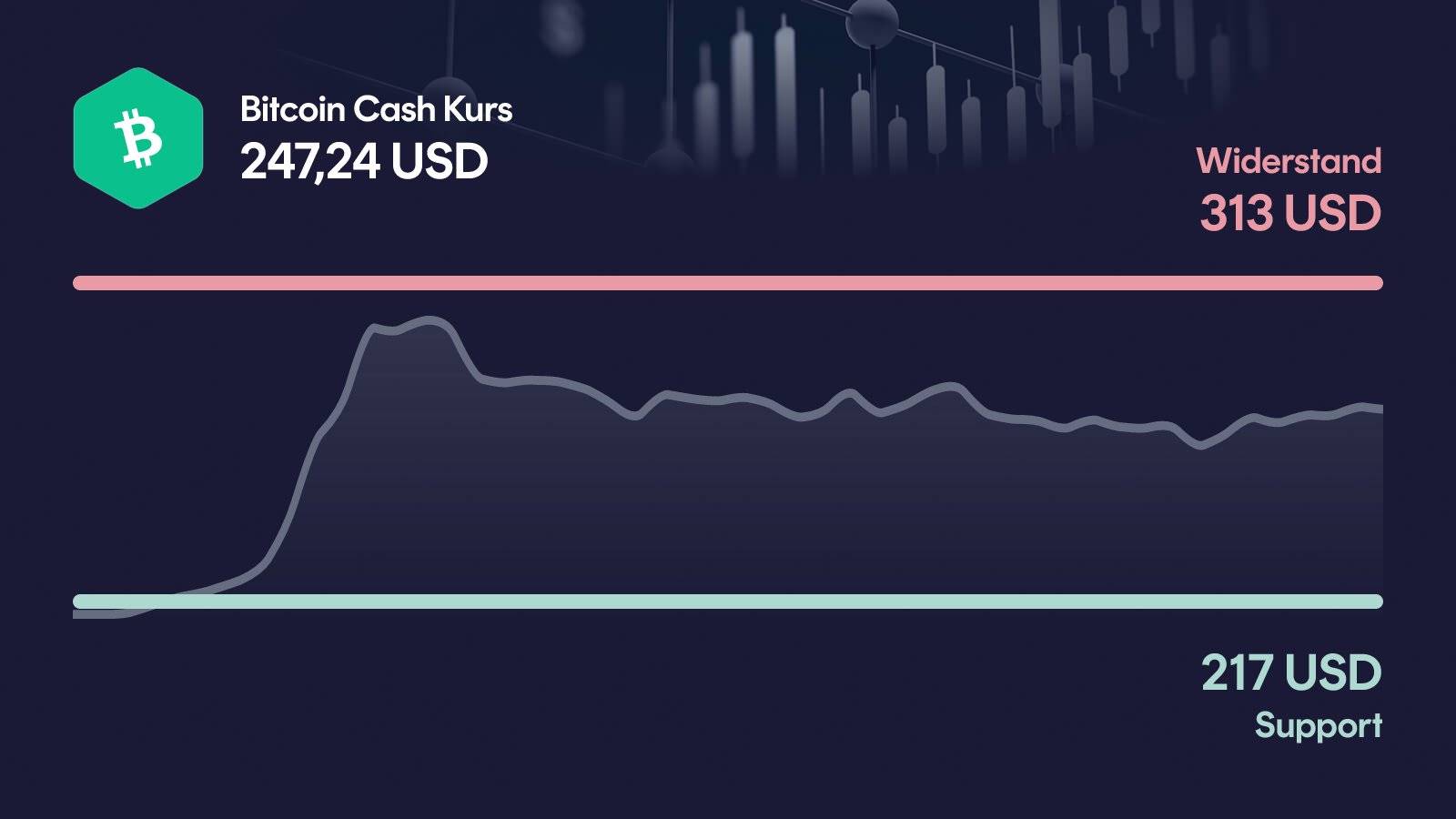 Bitcoin Cash-Kurs mit Support bei 217 USD und Widerstand bei 313 USD