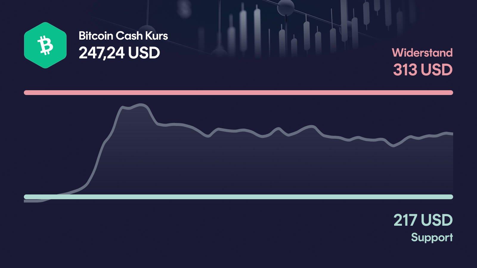 Bitcoin Cash-Kurs mit Support bei 217 USD und Widerstand bei 313 USD