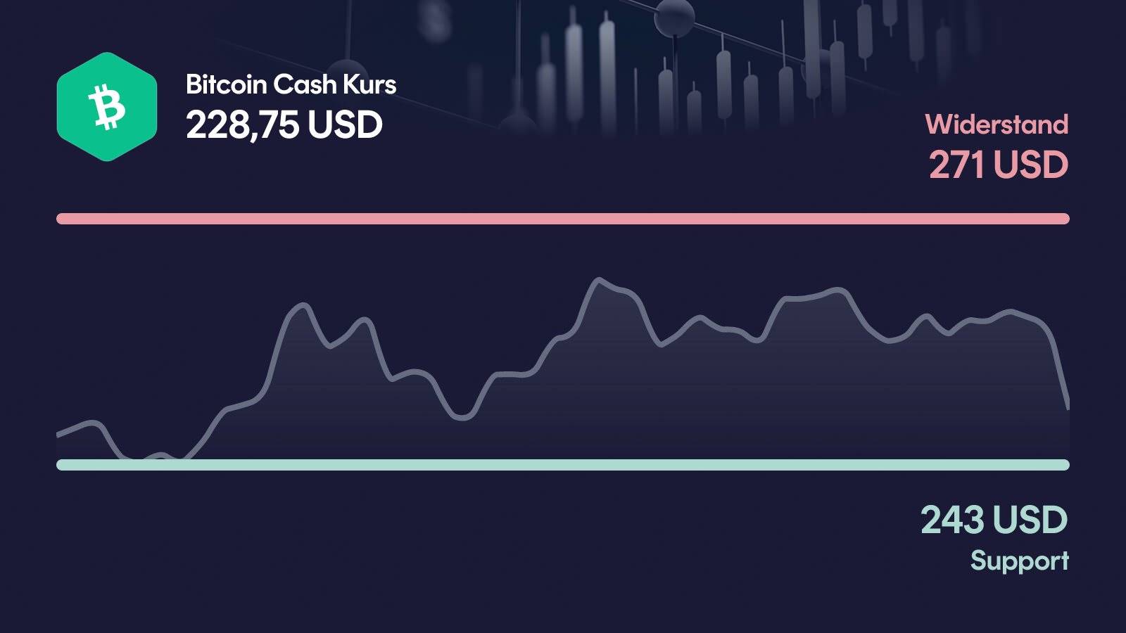 Bitcoin Cash-Kurs mit Support bei 228 USD und Widerstand bei 271 USD
