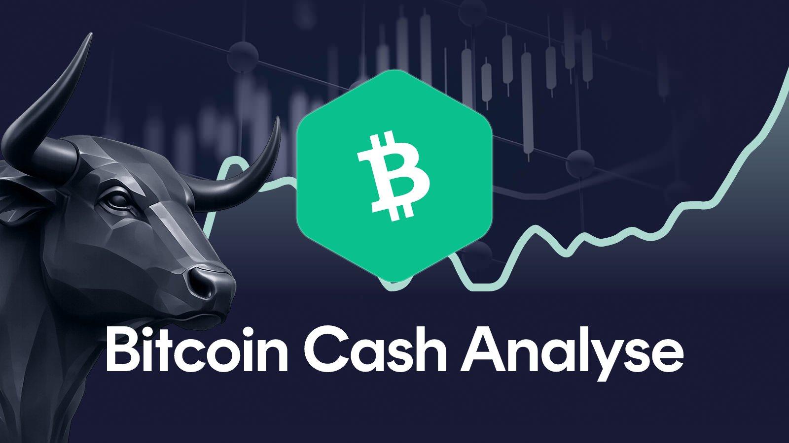 Bitcoin Cash Kursanalyse KW 44/2026