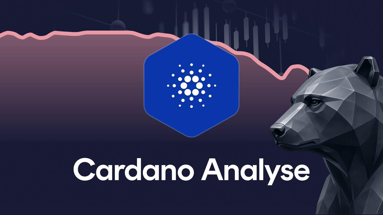 Cardano Analyse KW 23/2026