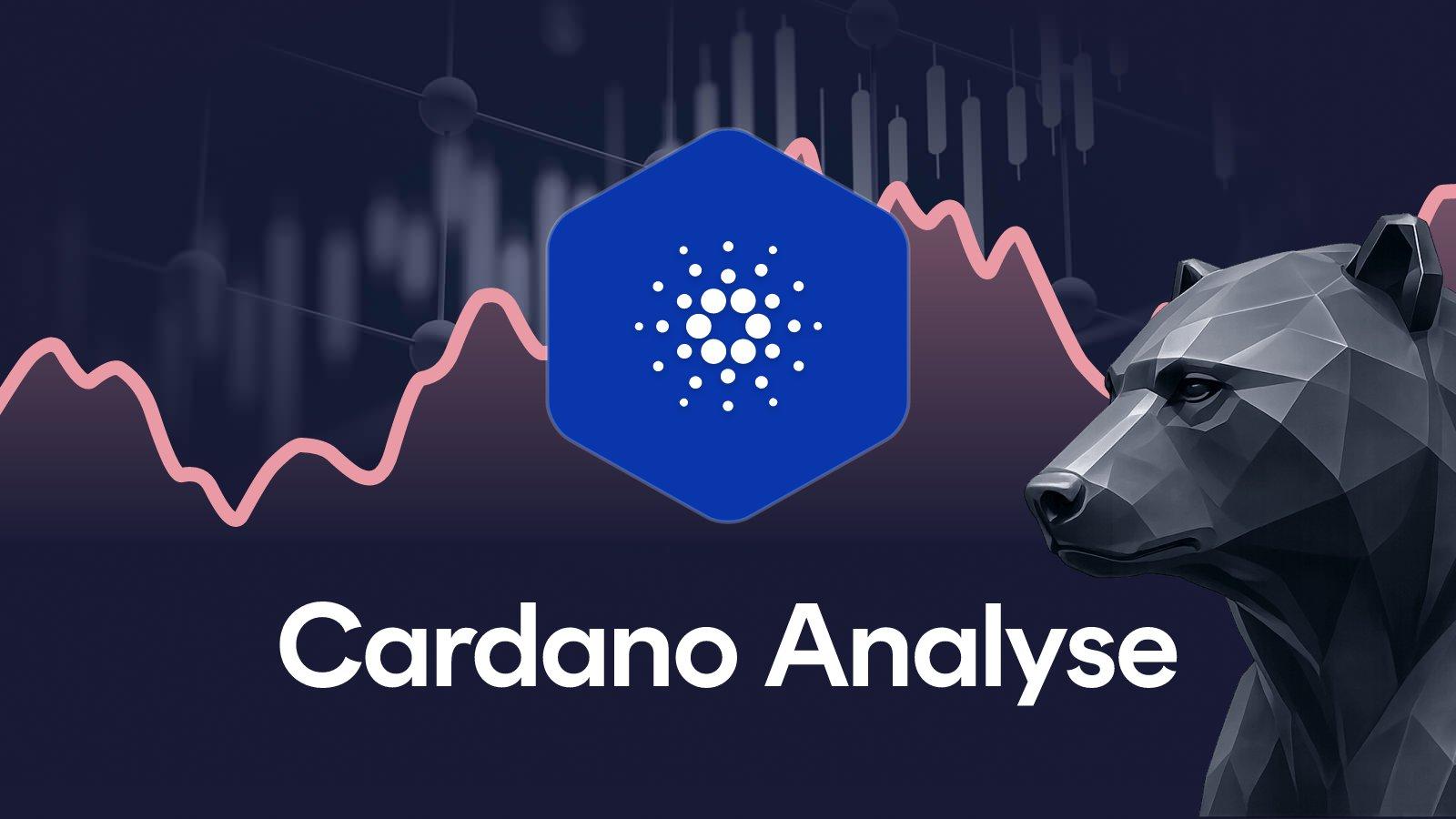 Cardano Analyse KW 24/2026